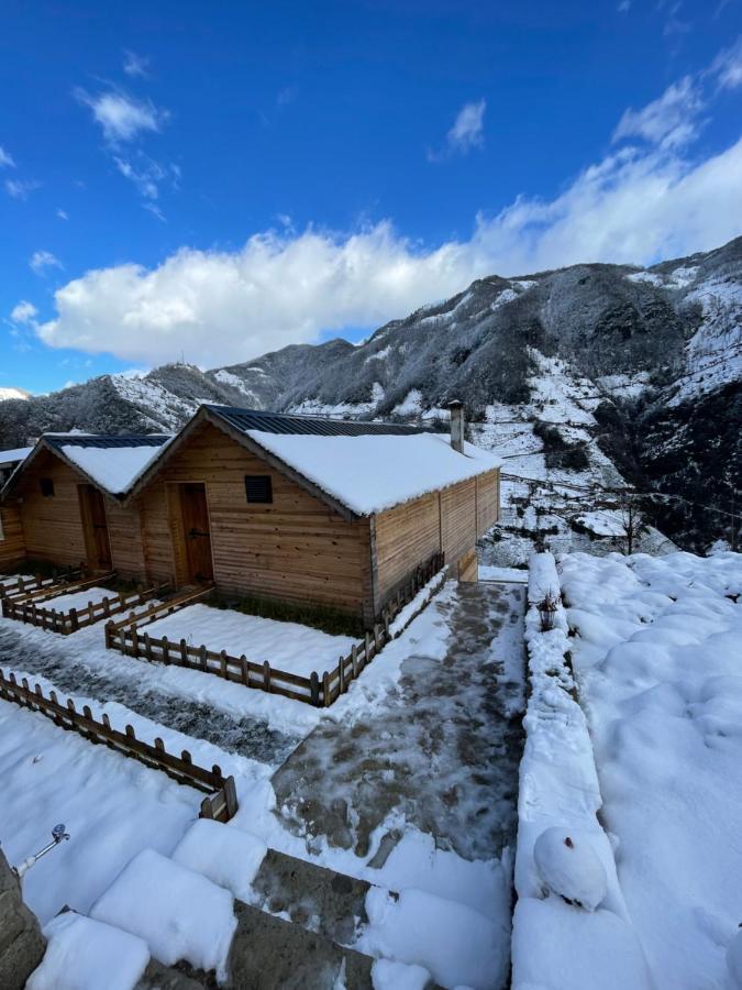 Otani Dag Evleri Çamlıhemşin Exterior foto