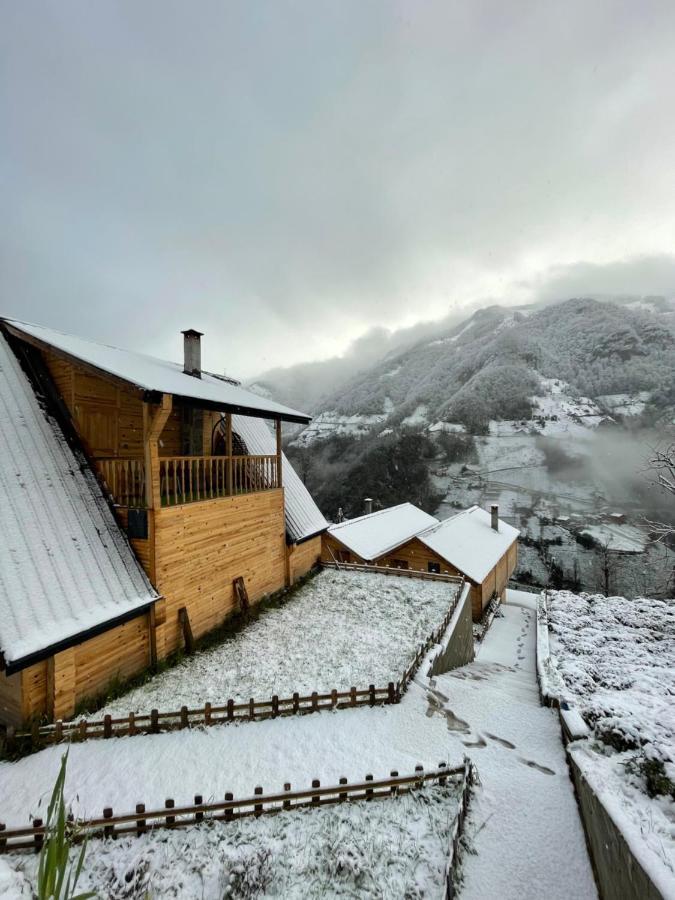 Otani Dag Evleri Çamlıhemşin Exterior foto